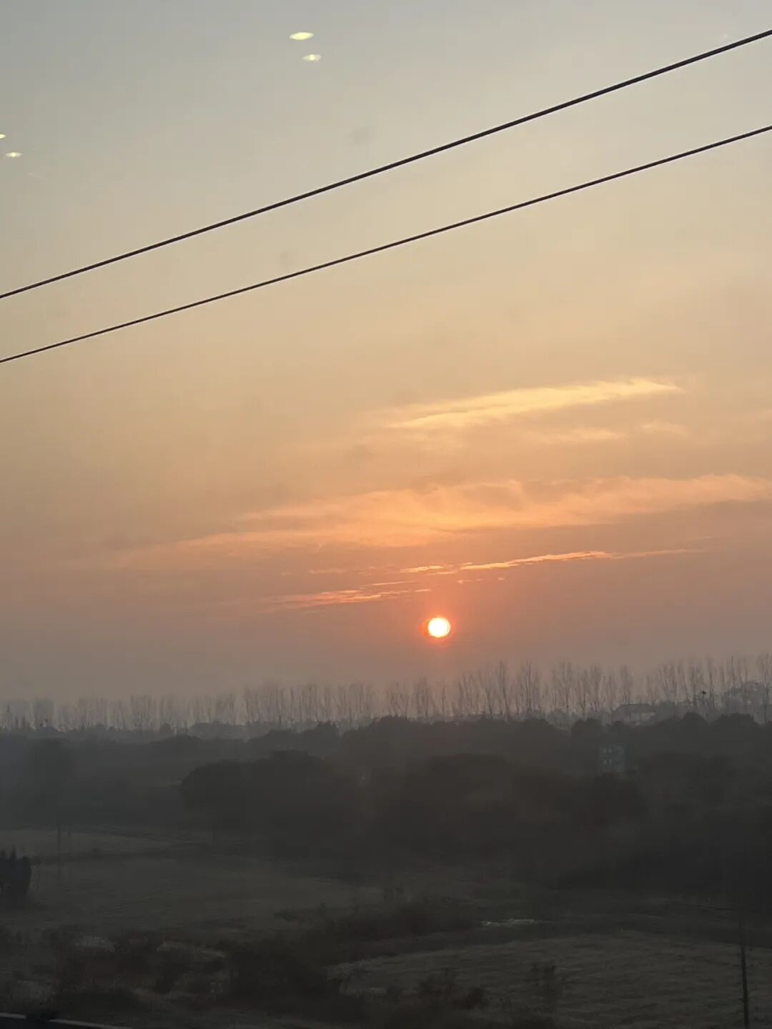 2026年，送给想做AI一人公司的25条底层逻辑